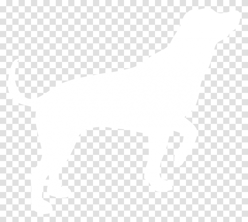 Dog Image Dogs Puppy Pictures Free Download, Animal, Canine, Mammal, Pet Transparent Png