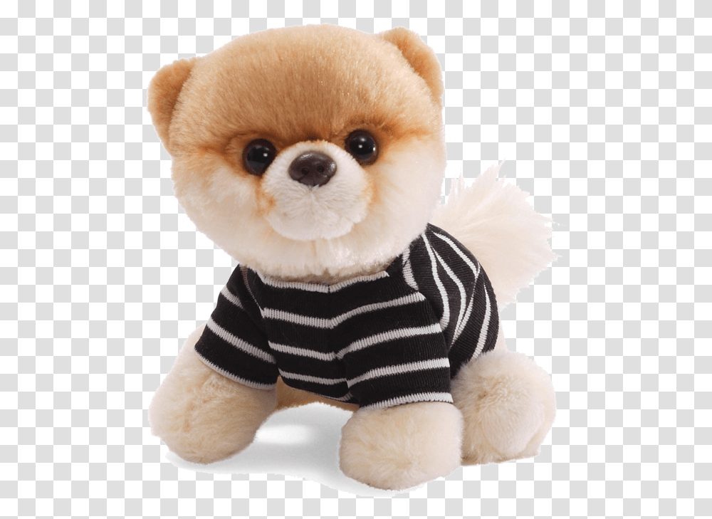 Dog Images Free Download Boo The World's Cutest Dog Gund, Plush, Toy, Doll, Animal Transparent Png