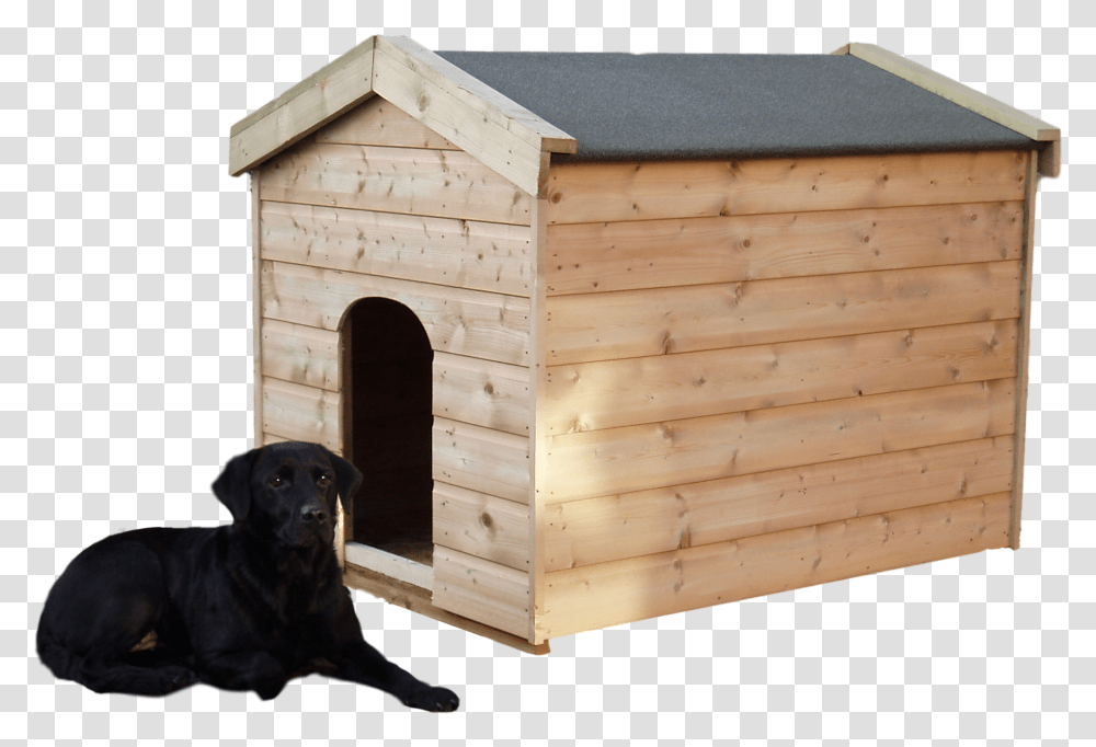 Dog In A Kennel, Pet, Canine, Animal, Mammal Transparent Png