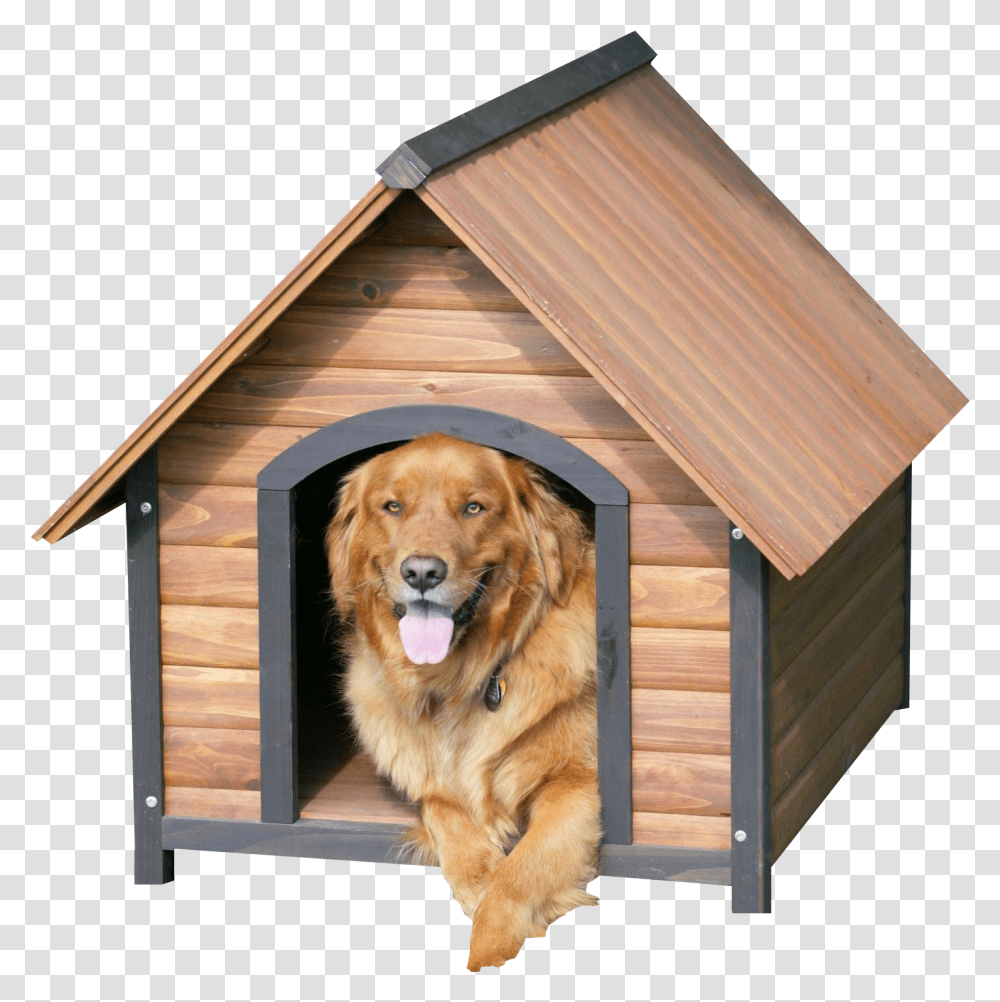 Dog In Cage Dog In Kennel, Dog House, Den, Pet, Canine Transparent Png