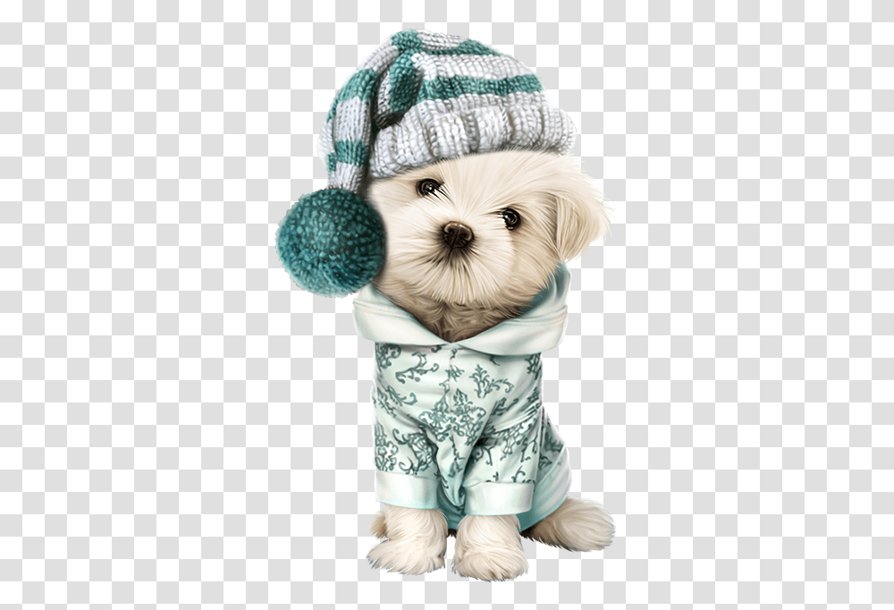 Dog In Clothes Clipart Clipart Stock Pin Cute Christmas Dogs, Person, Human, Apparel Transparent Png