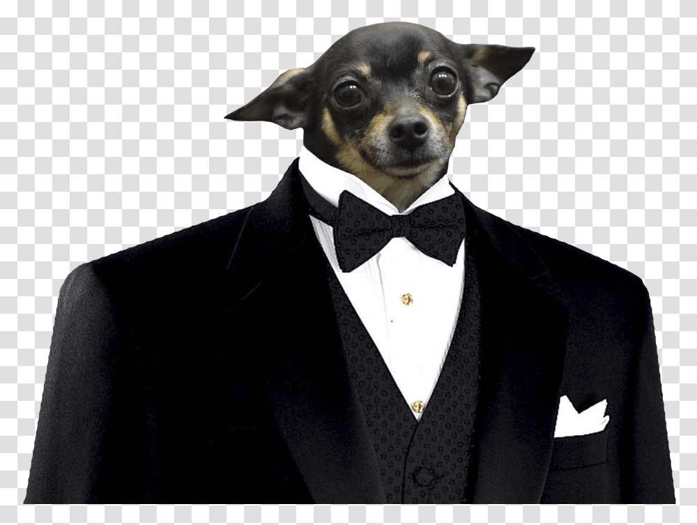 Dog In Suit, Tie, Overcoat, Person Transparent Png