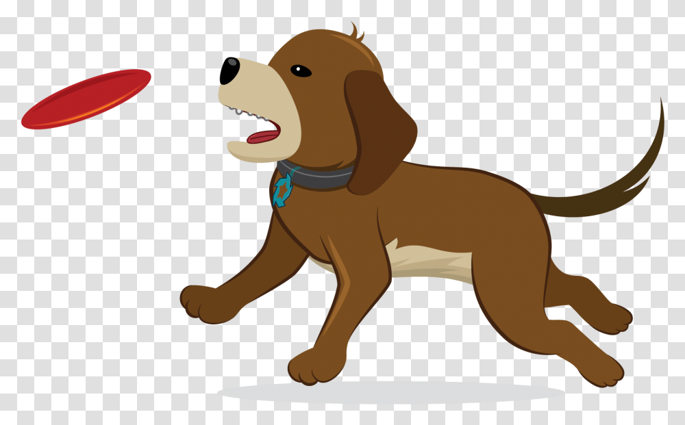 Dog Jumping For A Frisbee, Puppy, Pet, Canine, Animal Transparent Png