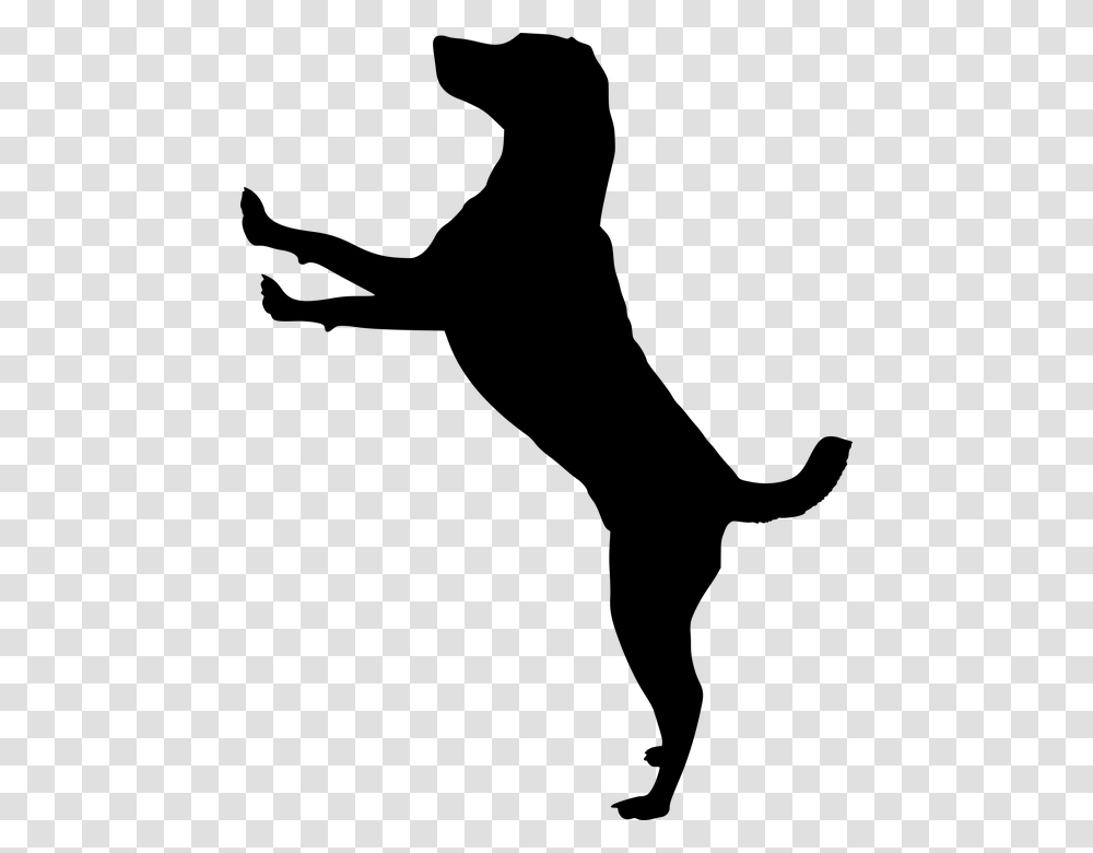 Dog Jumping Silhouette Clipart, Gray, World Of Warcraft Transparent Png