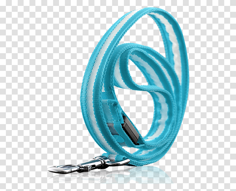 Dog Leash, Hose Transparent Png