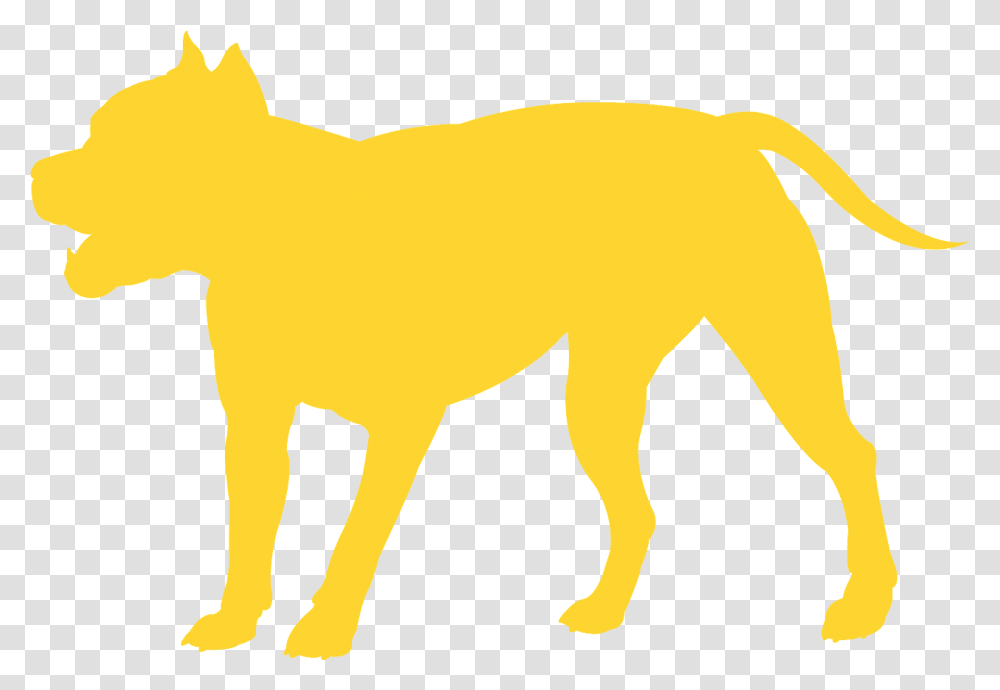 Dog, Mammal, Animal, Wildlife, Hyena Transparent Png