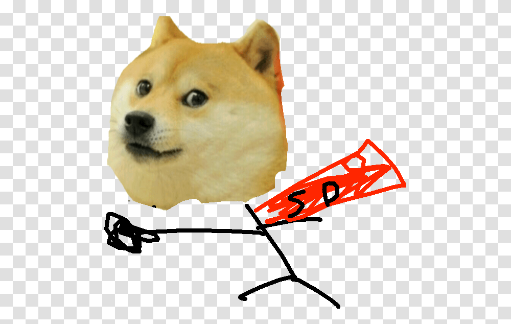 Dog Meme Face, Pet, Animal, Canine, Mammal Transparent Png