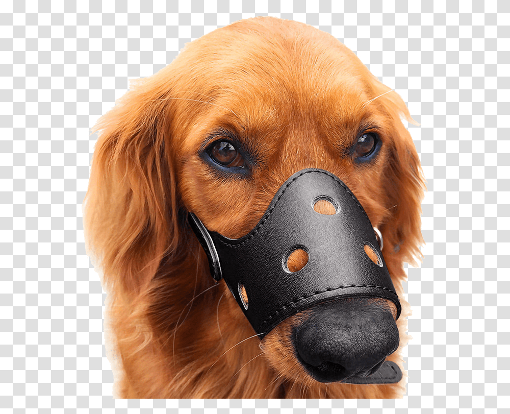 Dog Mouth Cover Dog Mask Anti Bite Anti Bite Anti Barking Puppy, Pet, Canine, Animal, Mammal Transparent Png