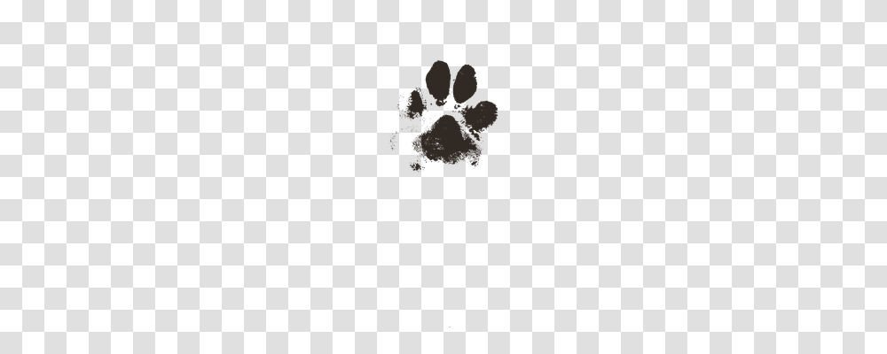 Dog Paw Animals Transparent Png