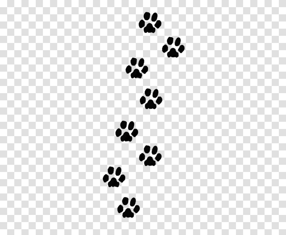 Dog Paw Prints Image, Person, People, Indoors Transparent Png