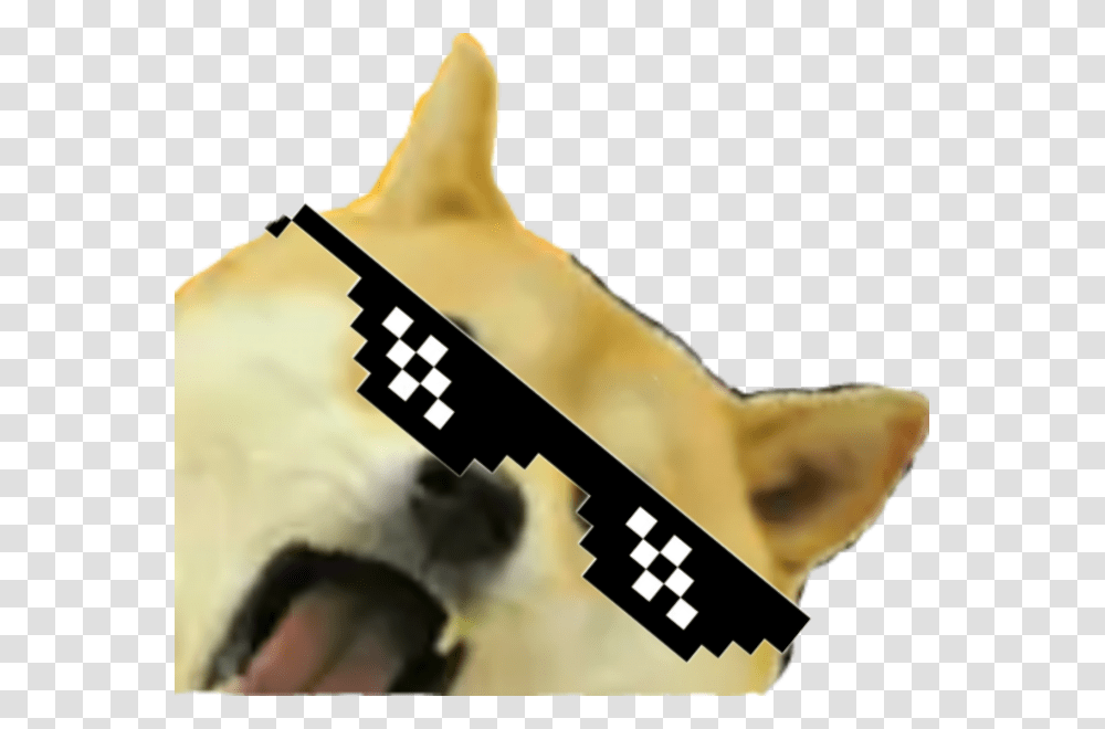 Dog, Person, Human, Key, Animal Transparent Png