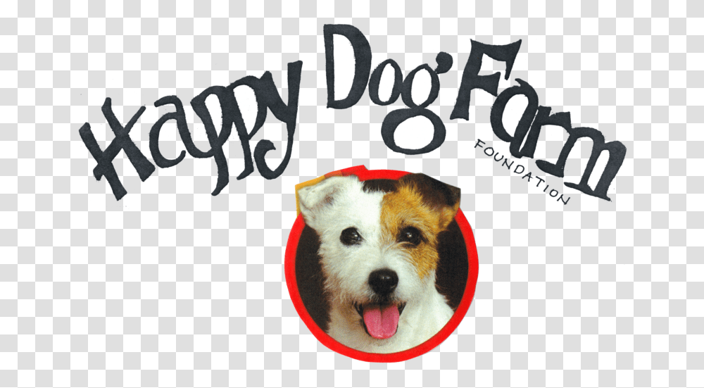 Dog, Pet, Canine, Animal Transparent Png