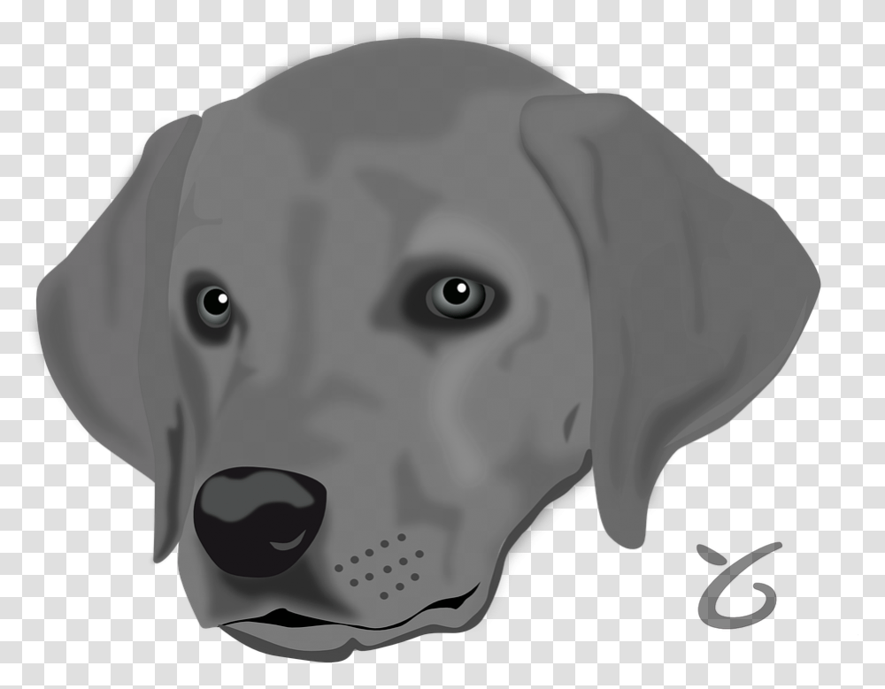 Dog Pet Head Animal Dog Head Clip Art, Labrador Retriever, Canine, Mammal Transparent Png