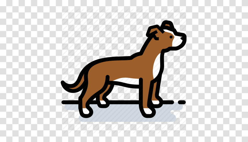 Dog Pet Pit Bull Pitbull Terrier Icon, Label, Horse, Mammal Transparent Png