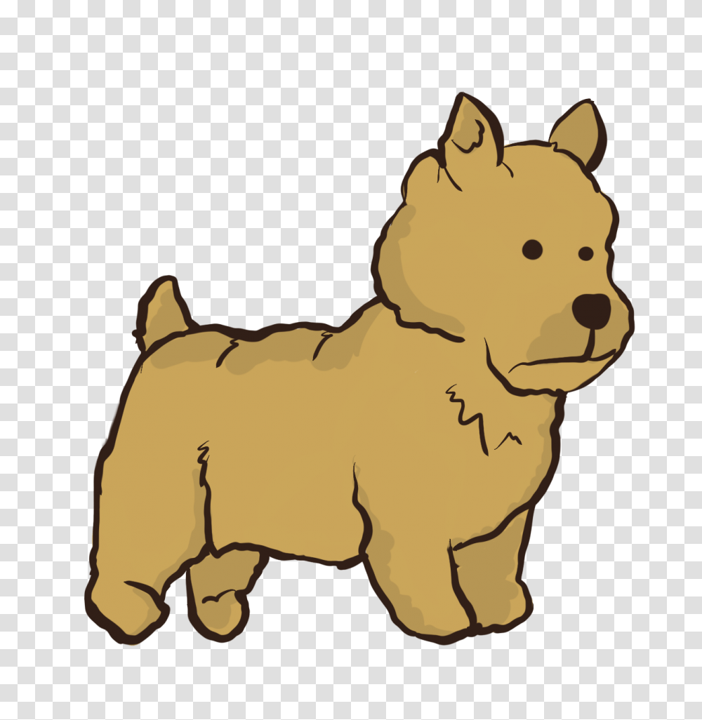 Dog Pictures Certapet, Animal, Canine, Mammal, Toy Transparent Png