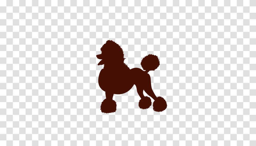 Dog Poodle In Red Silhouette, Person, Floor, People, Light Transparent Png