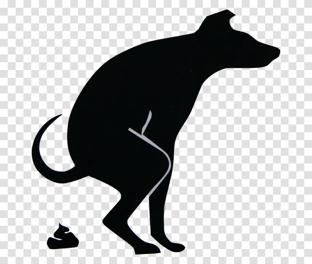 Dog Pooping, Mammal, Animal, Wildlife, Panther Transparent Png