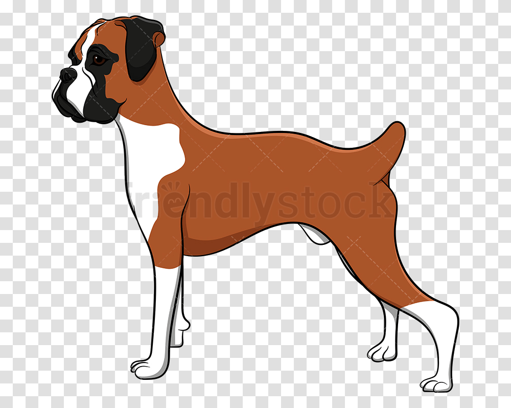 Dog Proud Boxer Vector Cartoon Clipart Dog Boxer Clip Art, Mammal, Animal, Pet, Canine Transparent Png