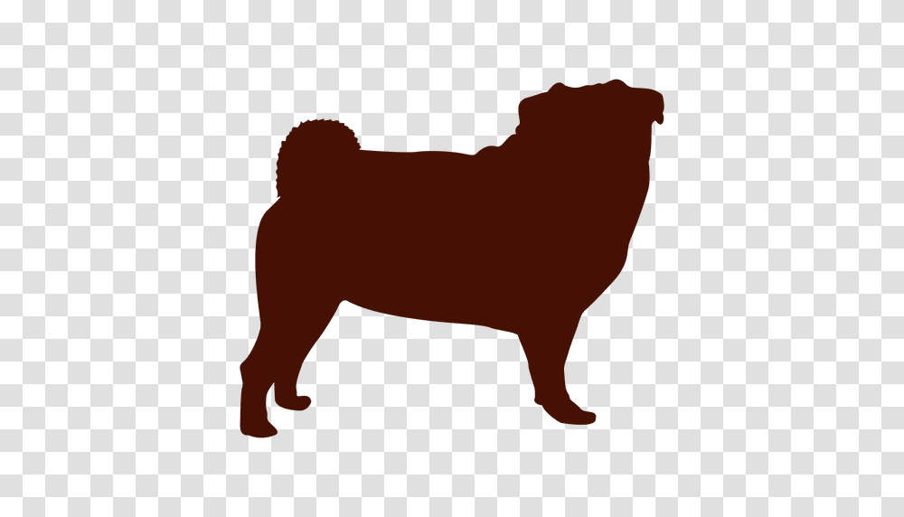 Dog Pug Silhouette, Mammal, Animal, Wildlife, Bison Transparent Png
