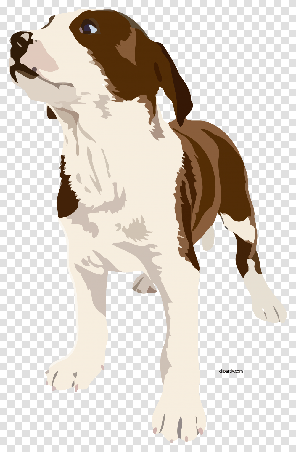 Dog Realistic Clipart Brown And White Dog Clipart, Hound, Pet, Canine, Animal Transparent Png