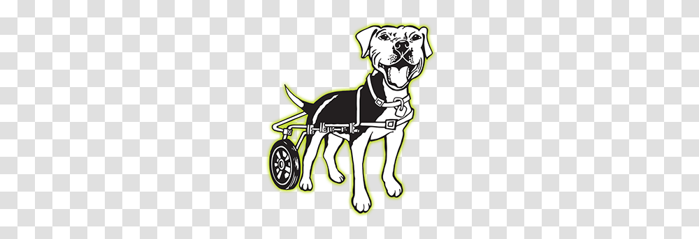 Dog Rescue Los Angeles, Harness, Vehicle, Transportation, Person Transparent Png