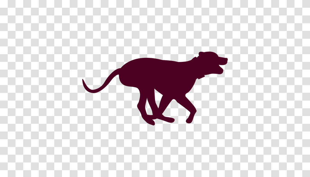 Dog Running Sequence, Silhouette, Animal, Mammal, Pet Transparent Png