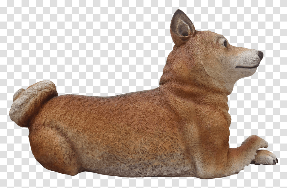 Dog Shiba Inu Animal Prop Life Size Decor Resin Statue Companion Dog, Mammal, Wildlife, Potted Plant, Vase Transparent Png