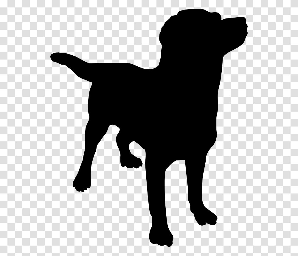 Dog Silhouette, Animals, Gray, World Of Warcraft Transparent Png