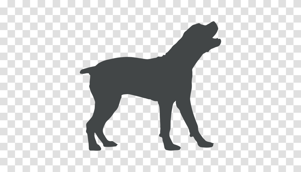 Dog Silhouette Howling, Mammal, Animal, Pet, Canine Transparent Png