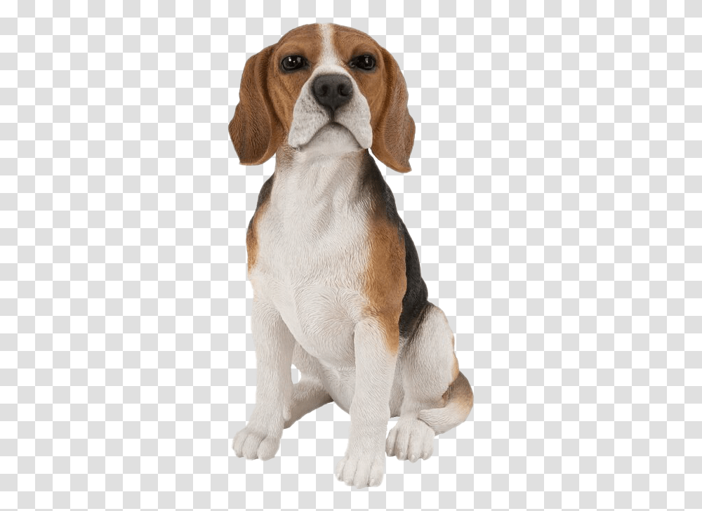 Dog Sitting Clipart Beagle Dog Sitting, Hound, Pet, Canine, Animal Transparent Png