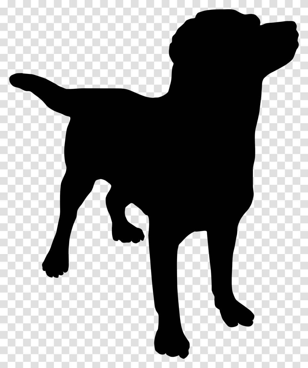 Dog Sitting, Gray, World Of Warcraft Transparent Png