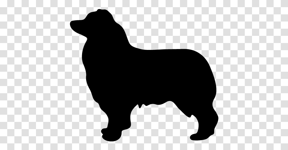 Dog Sitting Side View Clipart Image Library Download Silhouette Australian Shepherd Clipart, Gray, World Of Warcraft Transparent Png