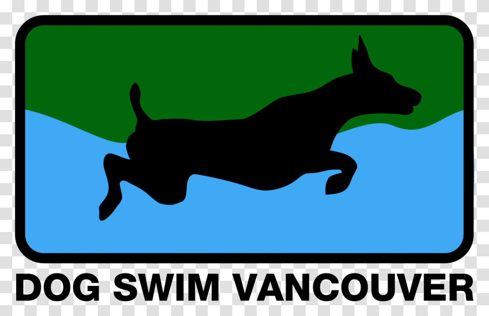 Dog Swim Vancouver Dog Agility Vector, Animal, Mammal, Silhouette, Pet Transparent Png