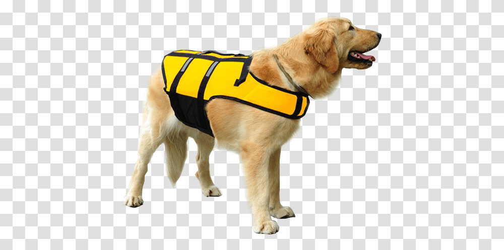 Dog Swimming Life Jacket, Apparel, Lifejacket, Vest Transparent Png
