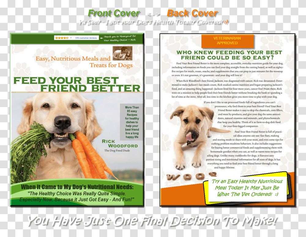 Dog Tail Companion Dog, Poster, Advertisement, Flyer, Paper Transparent Png