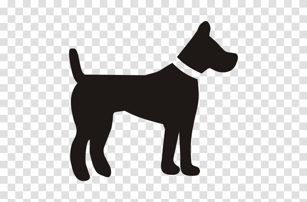 Dog, Terrier, Pet, Canine, Animal Transparent Png