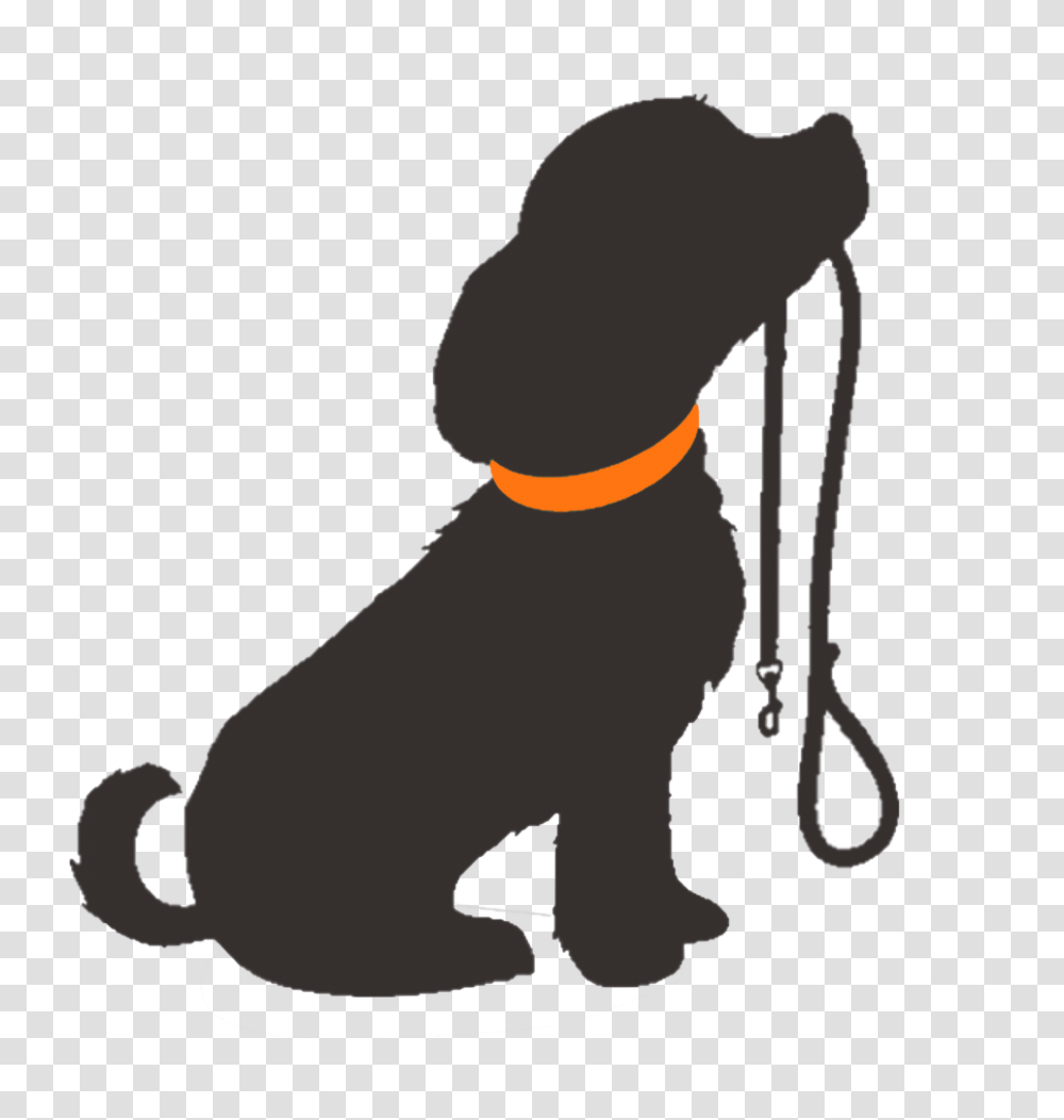 Dog Training Clip Art, Cat, Pet, Mammal, Animal Transparent Png