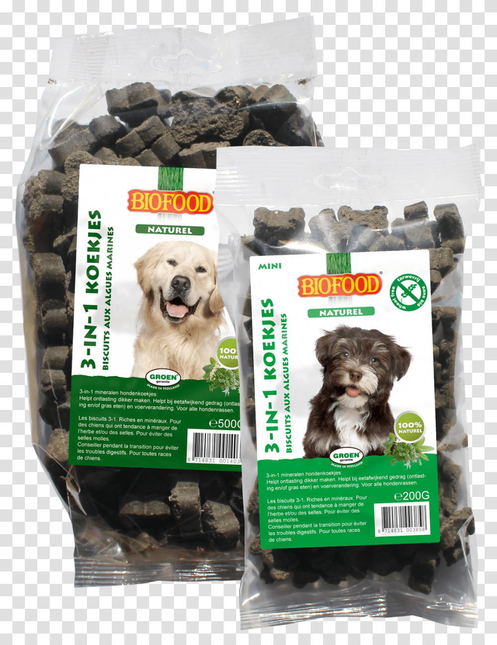 Dog Treats, Pet, Canine, Animal, Mammal Transparent Png