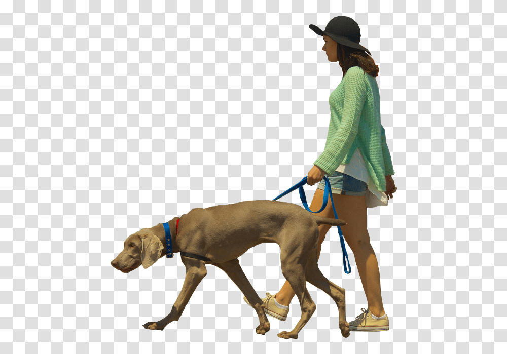 Dog Walking Architectural Rendering Dog Download 571 Architecture People Walking, Strap, Person, Human, Pet Transparent Png