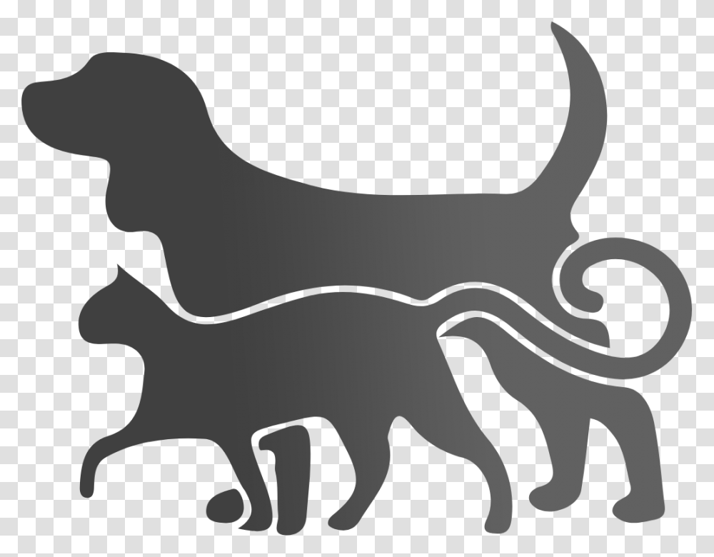 Dog Walking Cat Pet Dog Daycare Misty's Paw Wash Front Street Lincoln Ri, Gray Transparent Png