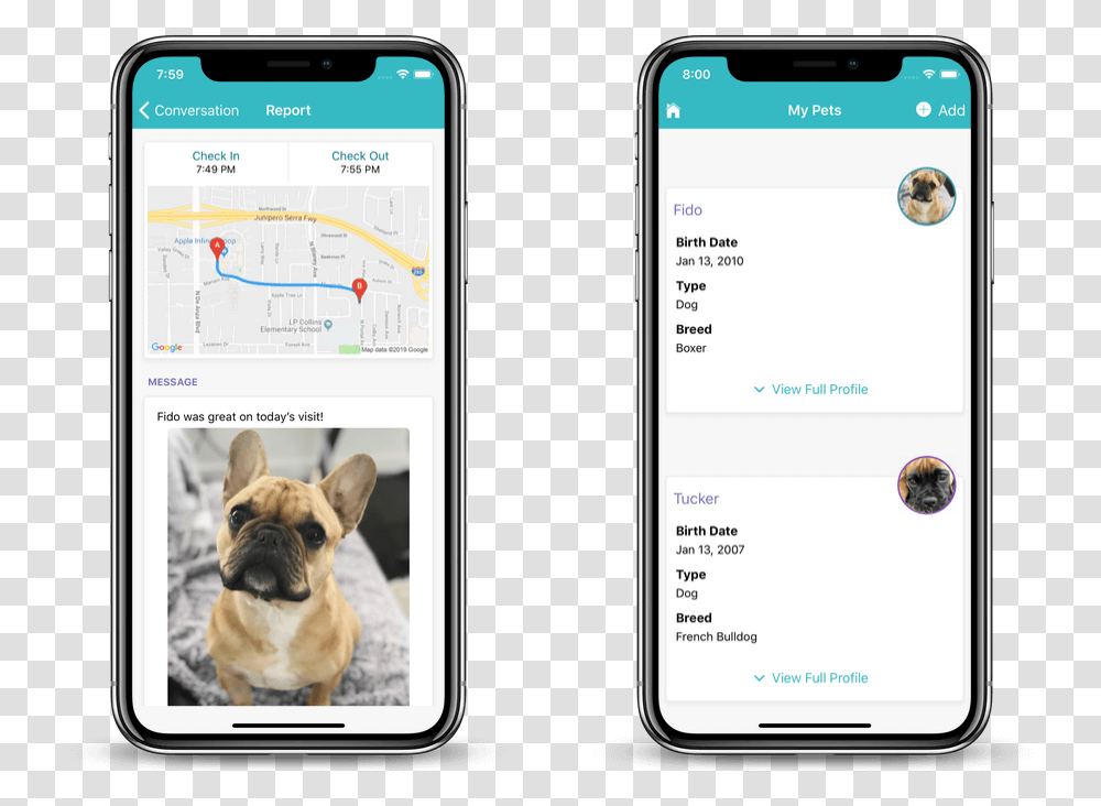 Dog Walking Client App Dog App, Mobile Phone, Electronics, Cell Phone, Pet Transparent Png