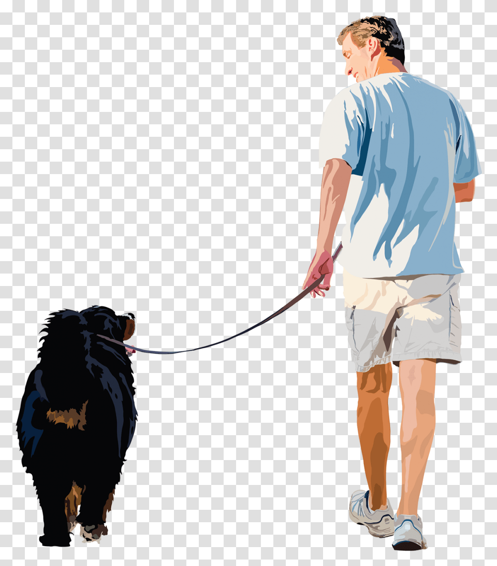 Dog Walking, Person, Human, Shorts Transparent Png