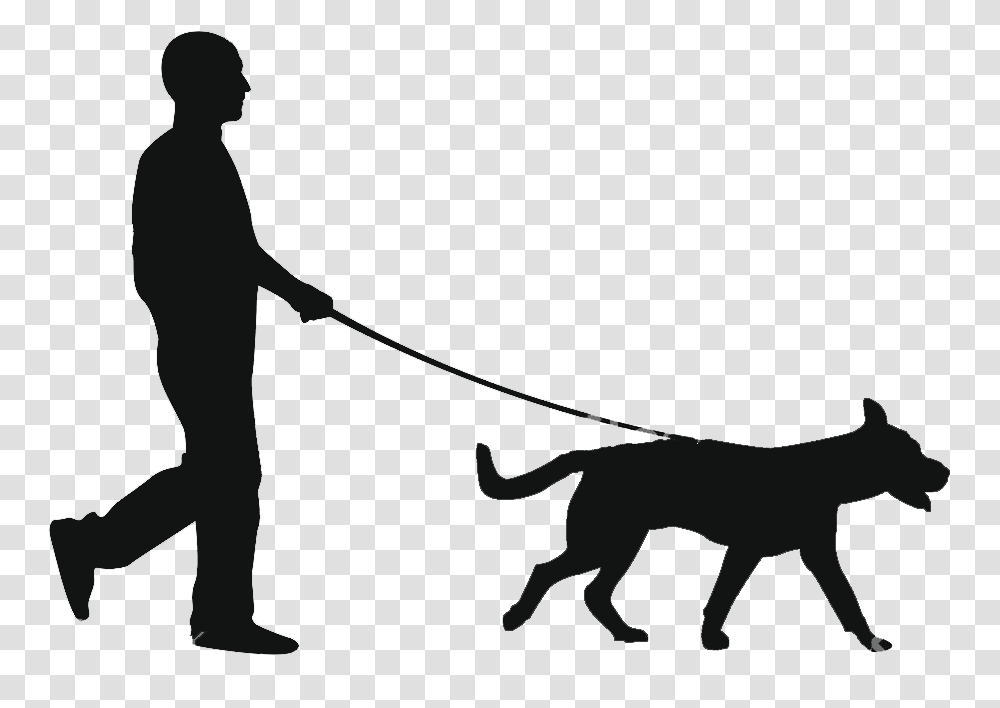 Dog Walking, Person, Mammal, Animal, Wildlife Transparent Png