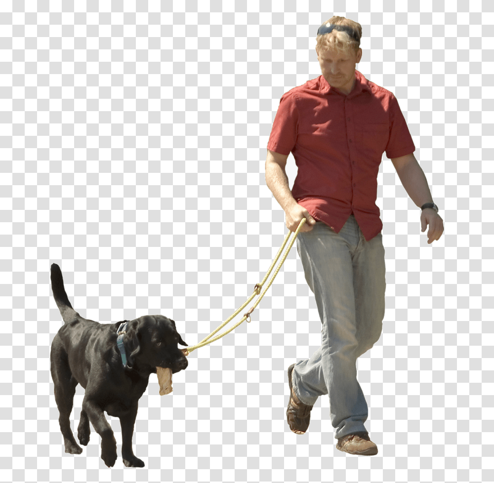Dog Walking Pet Sitting Puppy Shock Background Walking Dog, Person, Canine, Animal, Mammal Transparent Png