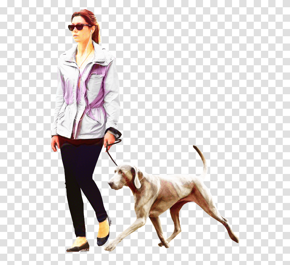 Dog Walking Portable Network Graphics Labrador Retriever Person Walking Dog, Sunglasses, Pet, Canine, Animal Transparent Png