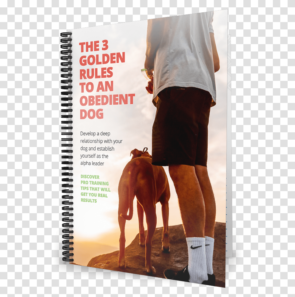 Dog Walking, Shorts, Person, Footwear Transparent Png