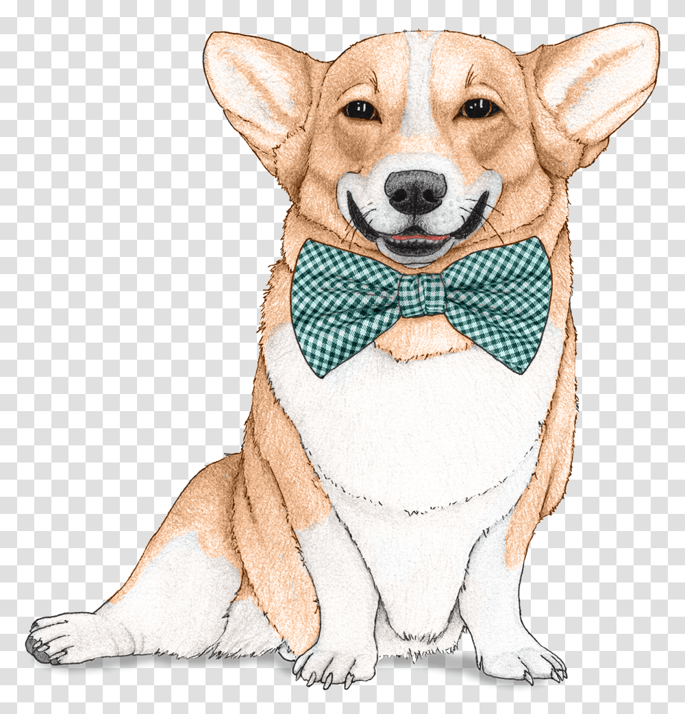 Dog Wallpaper For Walls, Tie, Accessories, Accessory, Necktie Transparent Png