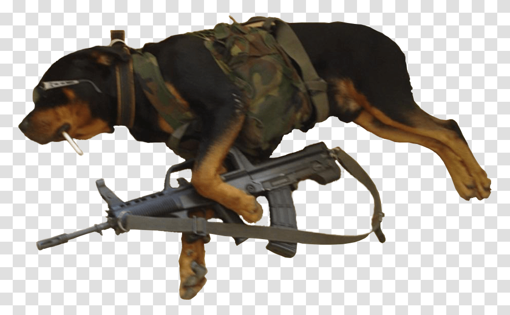 Dog, Weapon, Gun, Military Uniform, Army Transparent Png