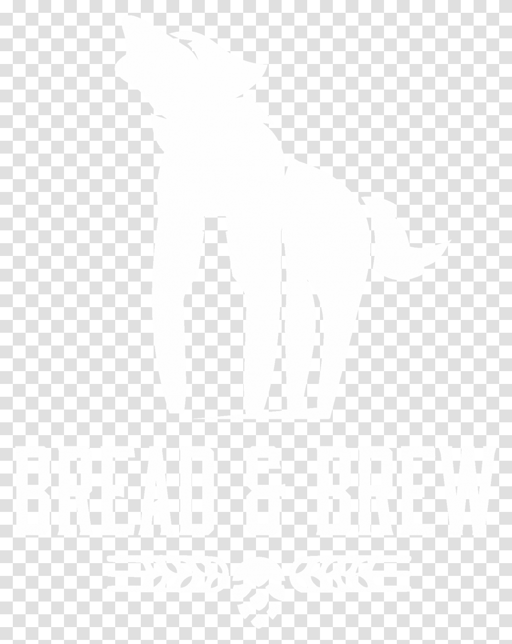 Dog, White, Texture, White Board Transparent Png
