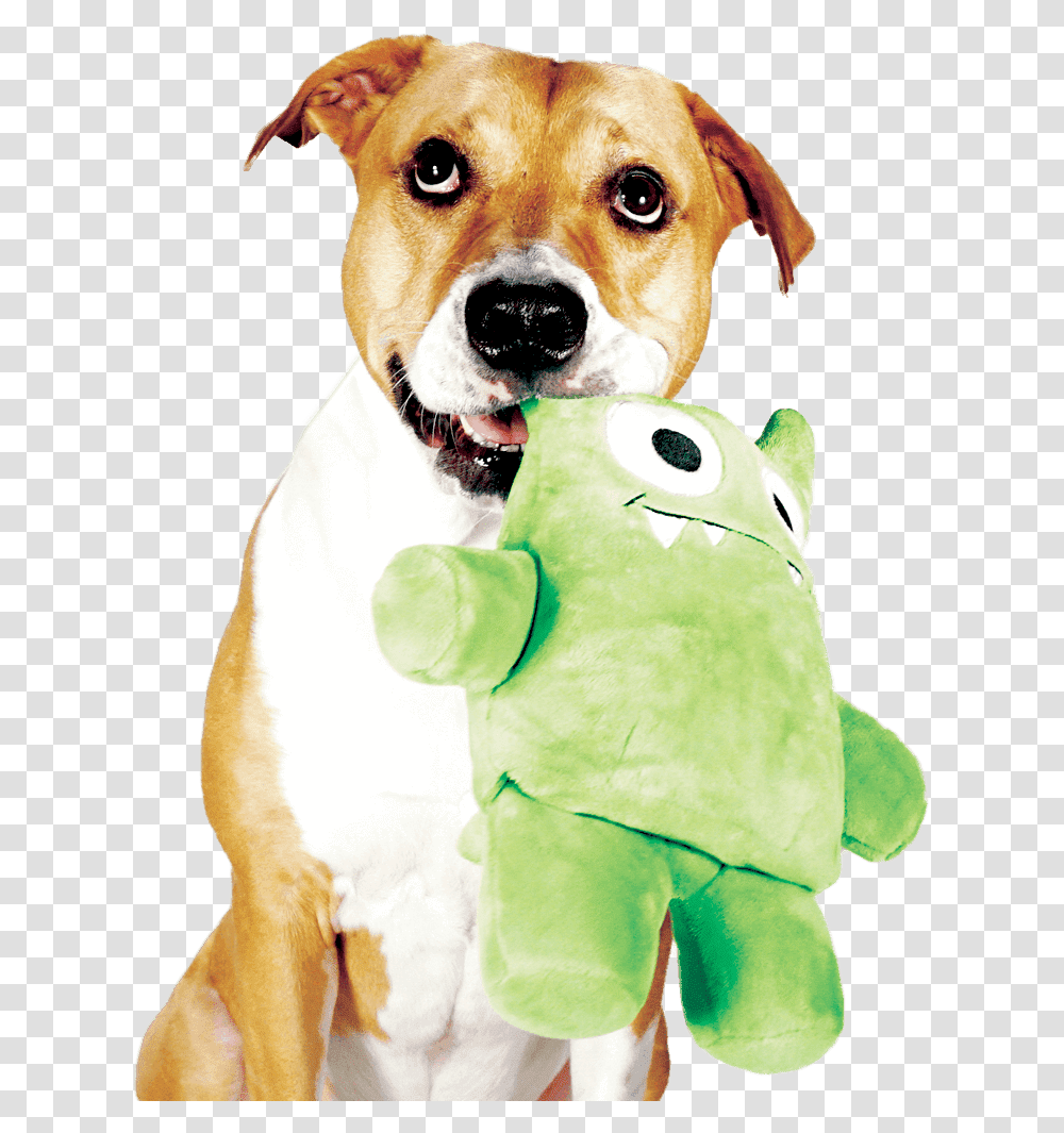 Dog With New Toy, Pet, Canine, Animal, Mammal Transparent Png
